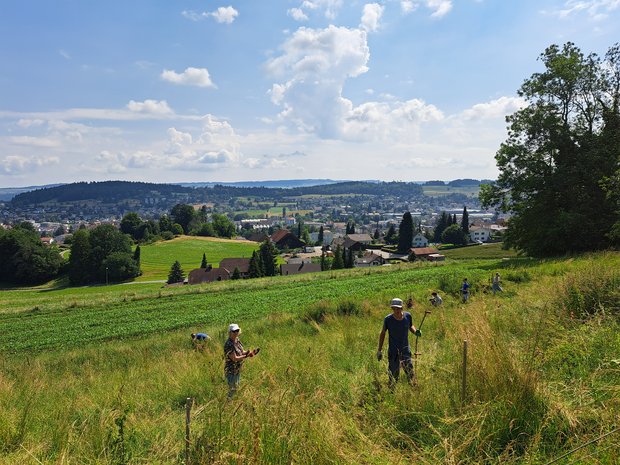 Arbeit mit Aussicht © Lucerne Festival